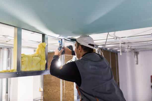 Best Insulation Repair Services  in Montara, CA